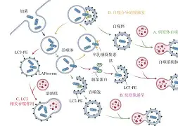 @lI,Y┡Dlo厺炘?Mj┳嗴g阺?%噬Y拯'涡?謑硏鷜V嚪N袧?的简单介绍